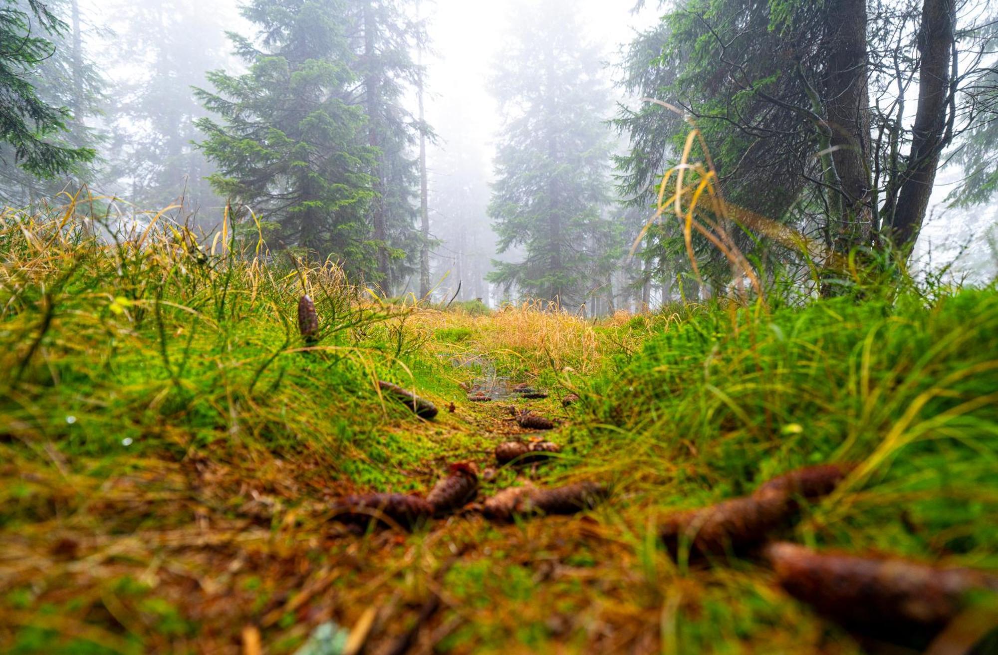 Horská chata Krakonoš Pec pod Sněžkou Exteriér fotografie