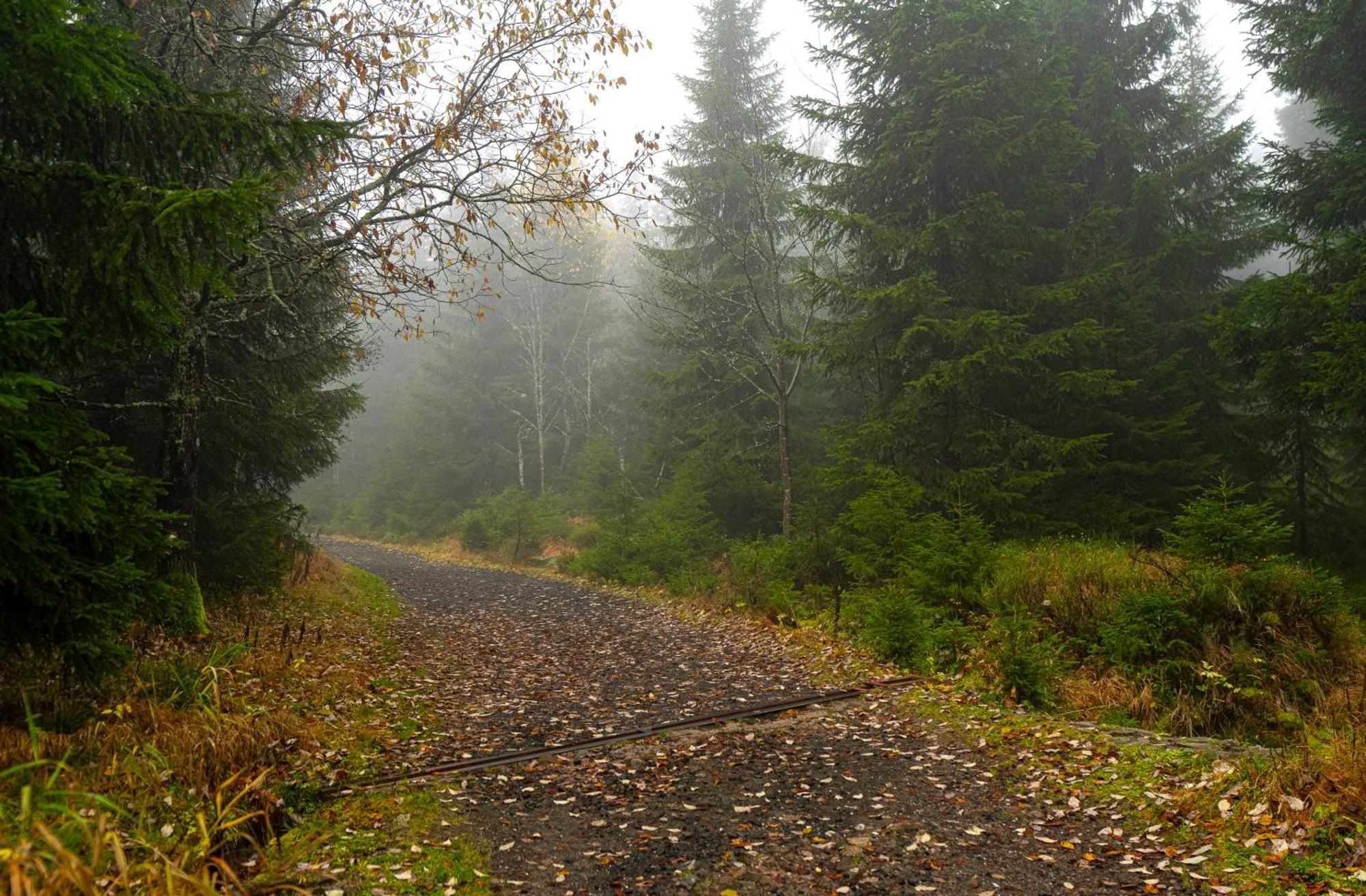 Horská chata Krakonoš Pec pod Sněžkou Exteriér fotografie