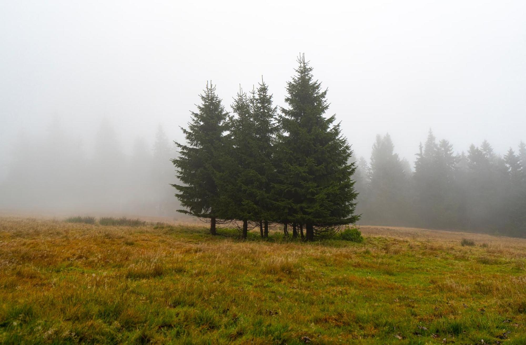 Horská chata Krakonoš Pec pod Sněžkou Exteriér fotografie