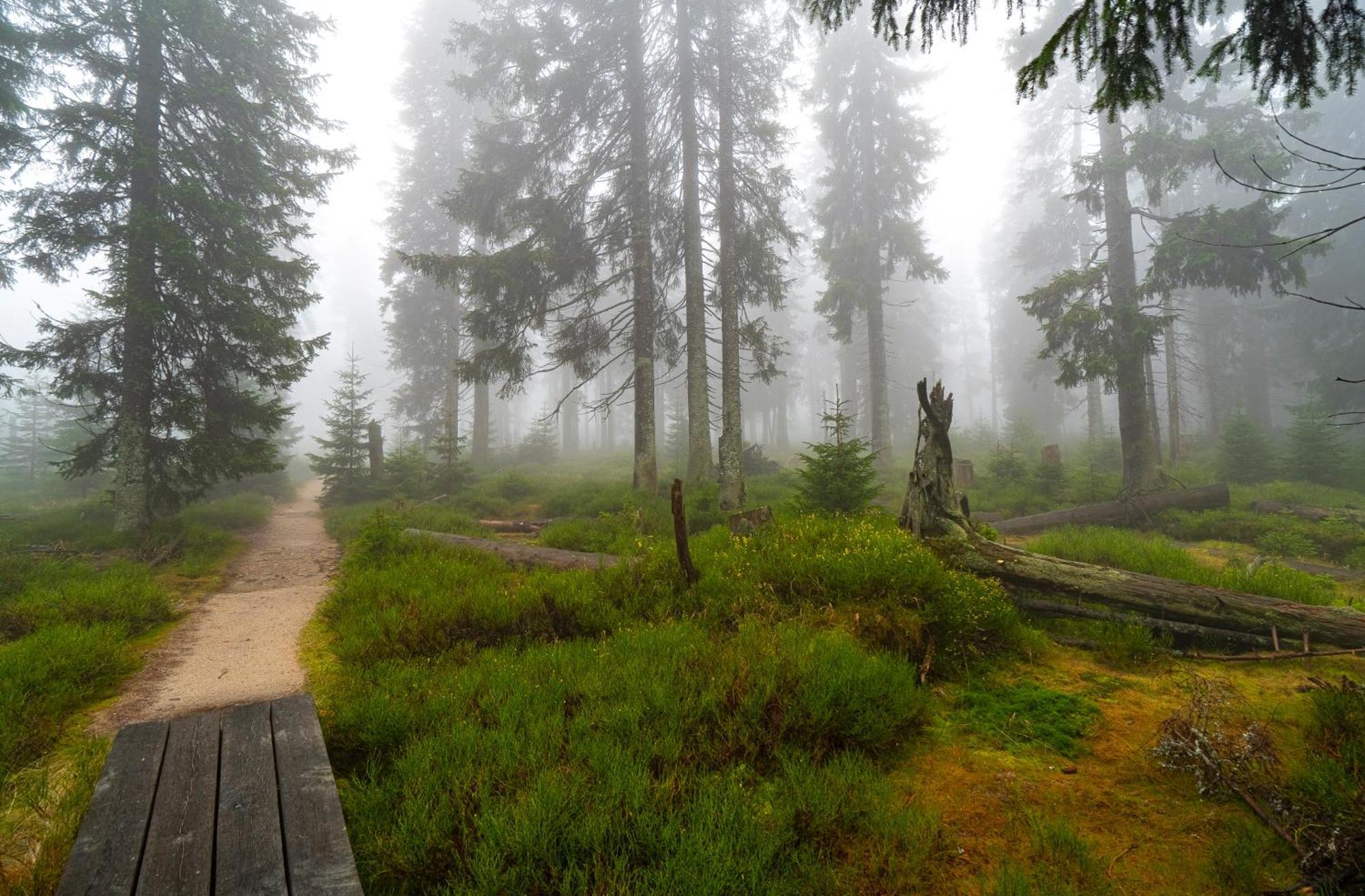 Horská chata Krakonoš Pec pod Sněžkou Exteriér fotografie
