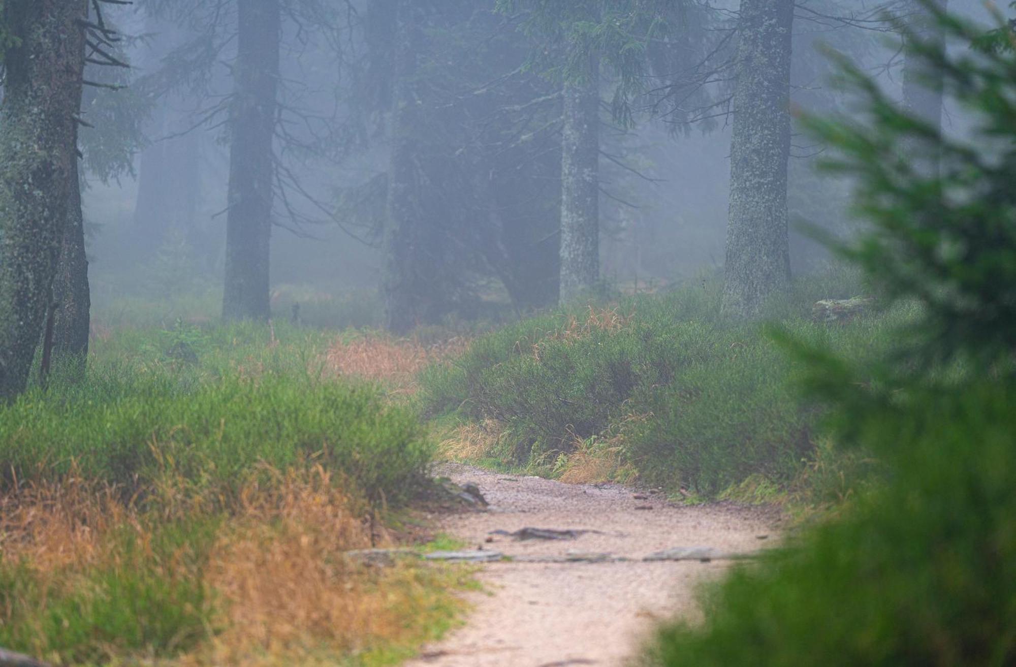 Horská chata Krakonoš Pec pod Sněžkou Exteriér fotografie